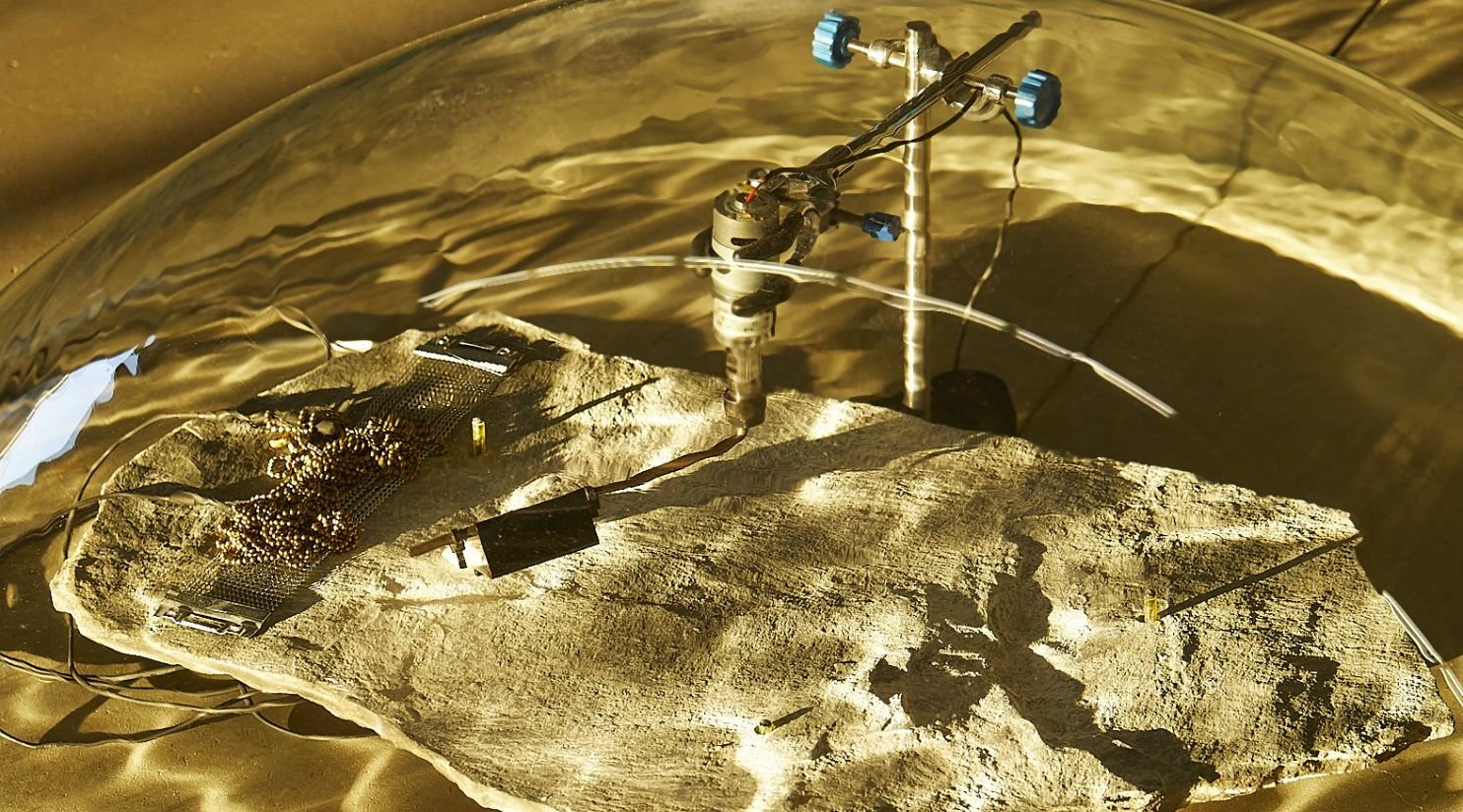 Water’s Witness by Tarek Atoui