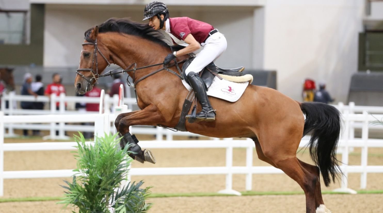 Al Shaqab Cup